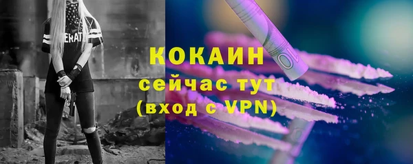 крисы Баксан