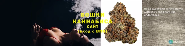 крисы Баксан