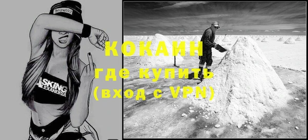крисы Баксан
