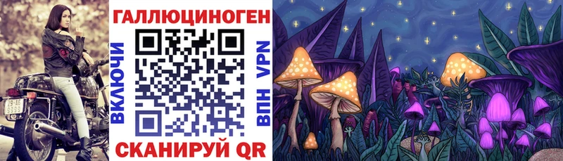 где найти   Богданович  Псилоцибиновые грибы мухоморы 