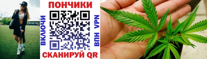 Бошки марихуана конопля  что такое наркотик  mega ссылка  Богданович 